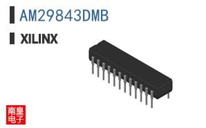 AM29843DMB