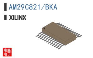AM29C821/BKA