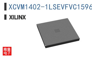 XCVM1402-1LSEVFVC1596