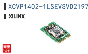 XCVP1402-1LSEVSVD2197
